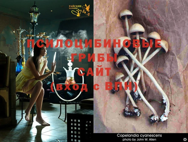 герыч Наволоки