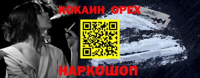 2c-b Кингисепп