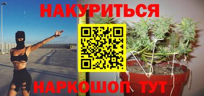 2c-b Кингисепп