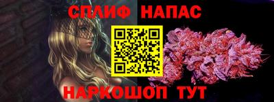 2c-b Кингисепп