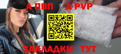 2c-b Кингисепп