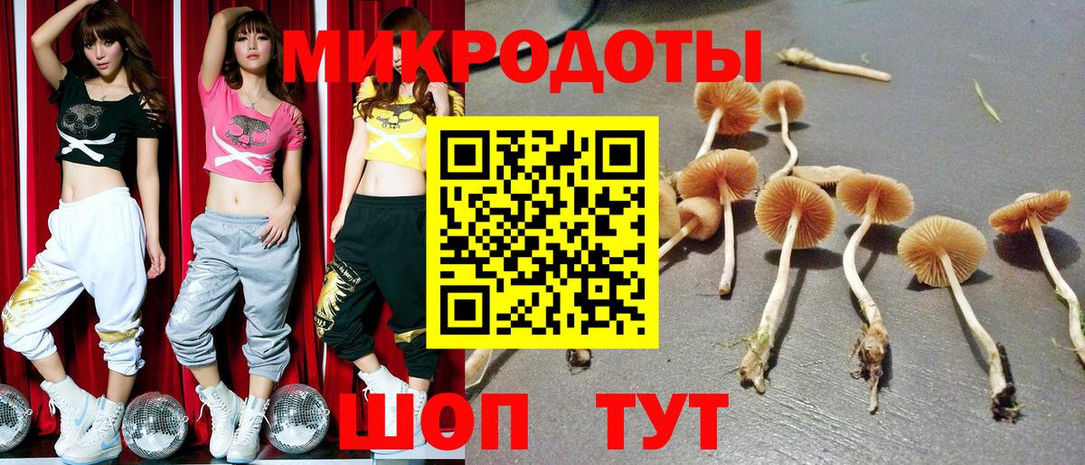 Галлюциногенные грибы GOLDEN TEACHER Первоуральск